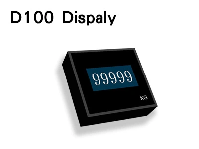 D100 Dispaly