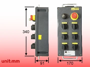 Explosion-proof switch family